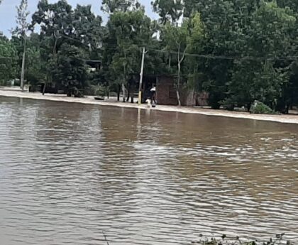 Houses Immersed In Flood