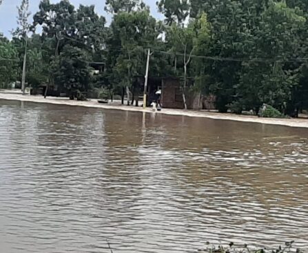 Houses Immersed In Flood