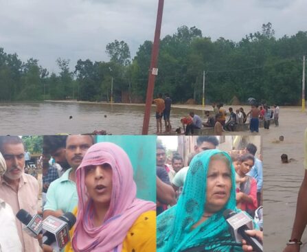 Houses Immersed In Flood