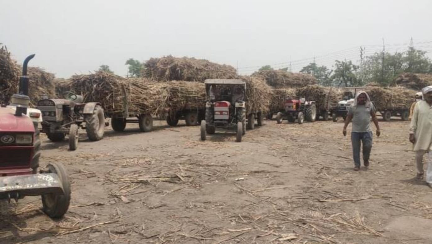 Farmers Yearning For Sugarcane Payment And Fair Price