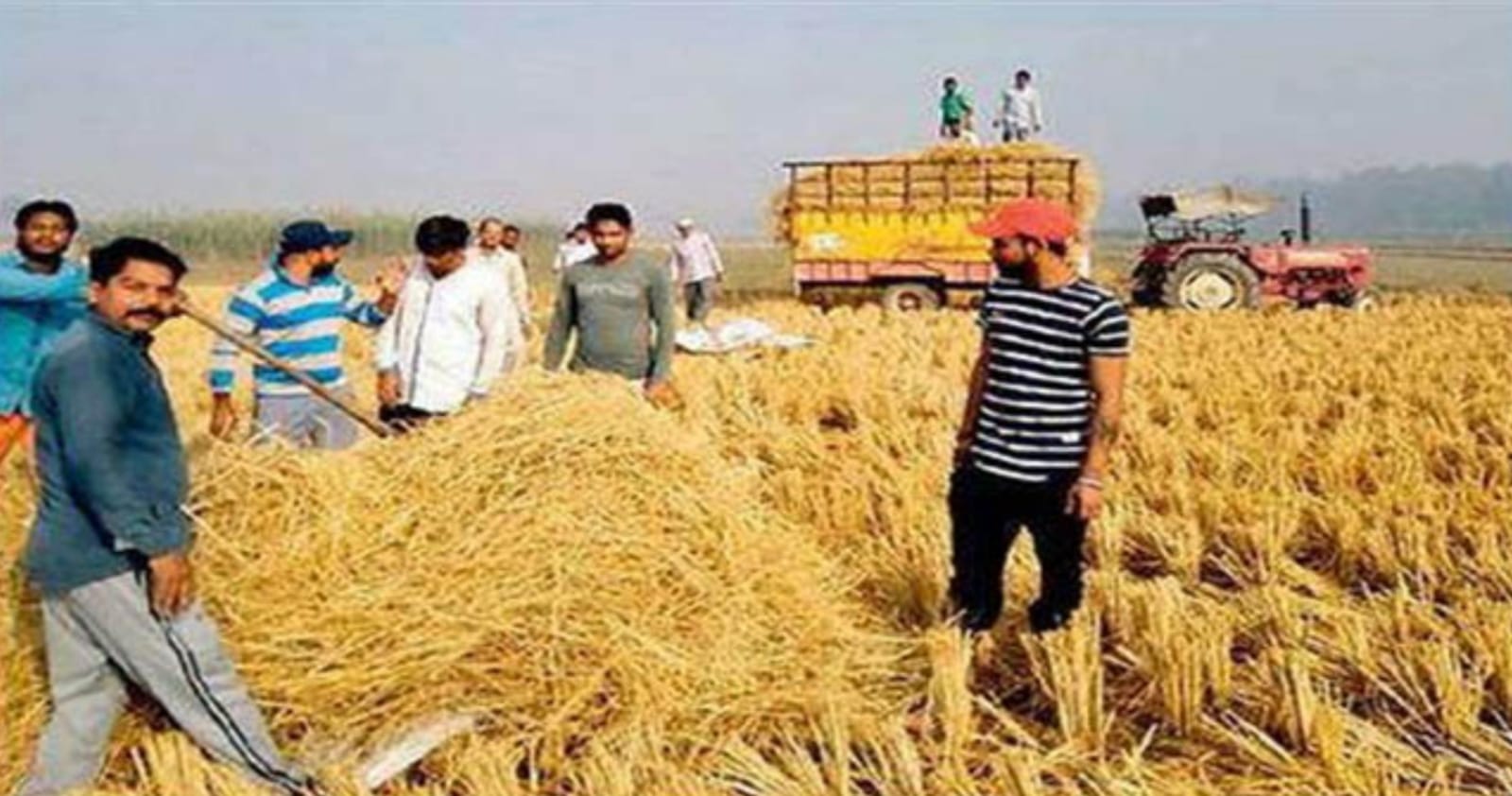 Stubble Become Source Farmer Income In UP