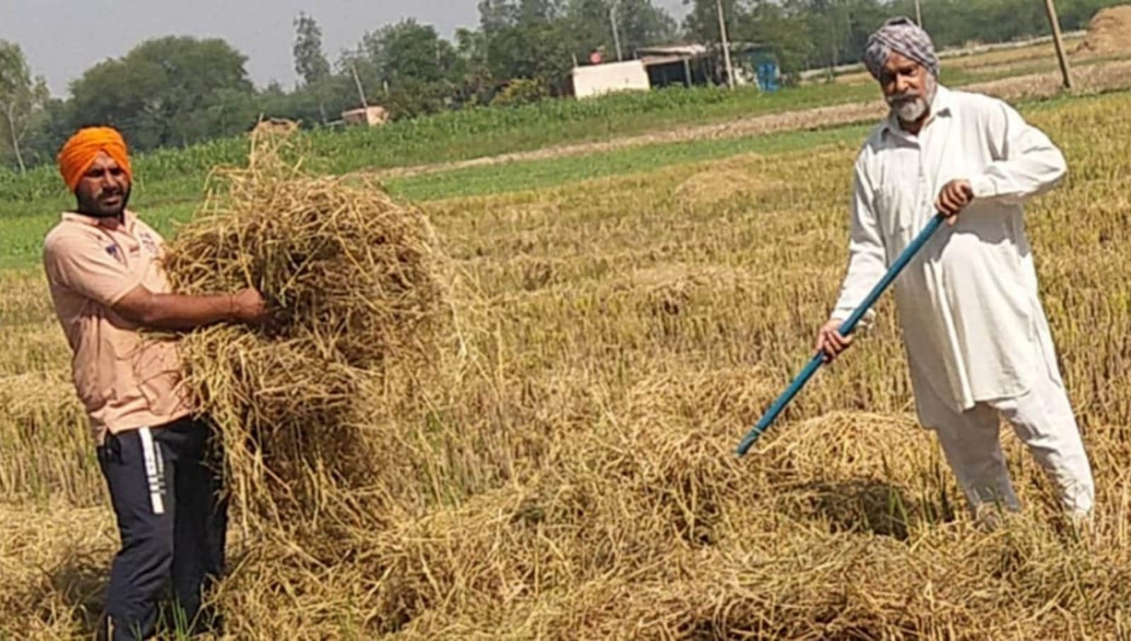 Stubble Become Source Farmer Income In UP