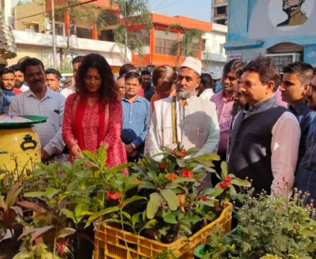 Organic Market Set up Municipal Corporation