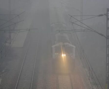 Cold Wave Increases In North India