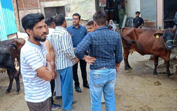 Corporation confiscated animals tied on the road spreading filth