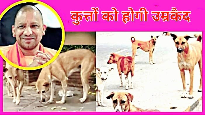 CM Yogi Big Announcement For Dog