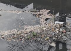 Paondhoi River Water Turns Toxic, Massive Fish Die-off Reported Toxic, Effluents from Factories Continue to be Discharged Despite Crores in Expenditure.