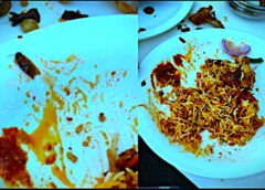 बिरयानी में कॉकरोच मिलने पर हंगामा, Cockroach found in biryani sparks uproar, Food Department begins investigation