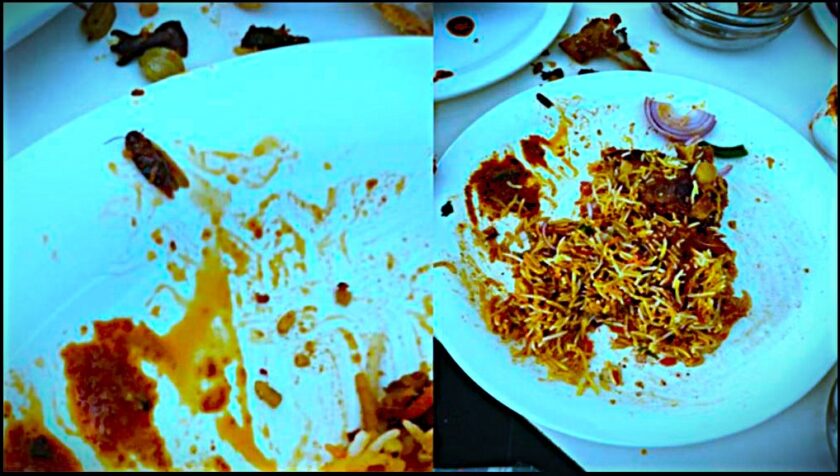 बिरयानी में कॉकरोच मिलने पर हंगामा, Cockroach found in biryani sparks uproar, Food Department begins investigation