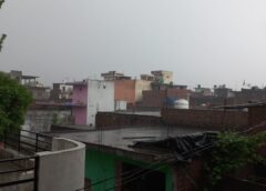 Unseasonal rains increase farmers' worries, Wheat crop in jeopardy in Saharanpur