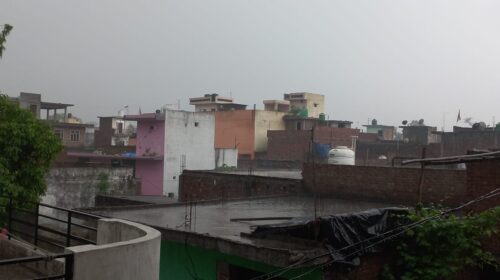 Unseasonal rains increase farmers' worries, Wheat crop in jeopardy in Saharanpur