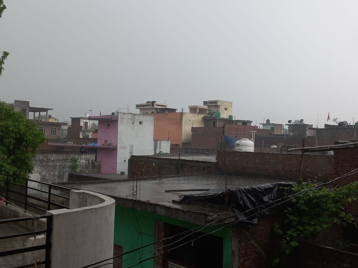 Unseasonal rains increase farmers' worries, Wheat crop in jeopardy in Saharanpur