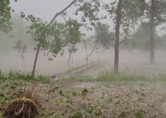 UP Today's Temperature, Weather Forecast, UP Weather High Alert