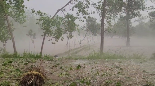 UP Today's Temperature, Weather Forecast, UP Weather High Alert