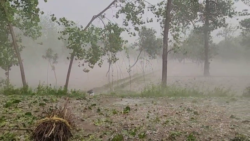 UP Today's Temperature, Weather Forecast, UP Weather High Alert