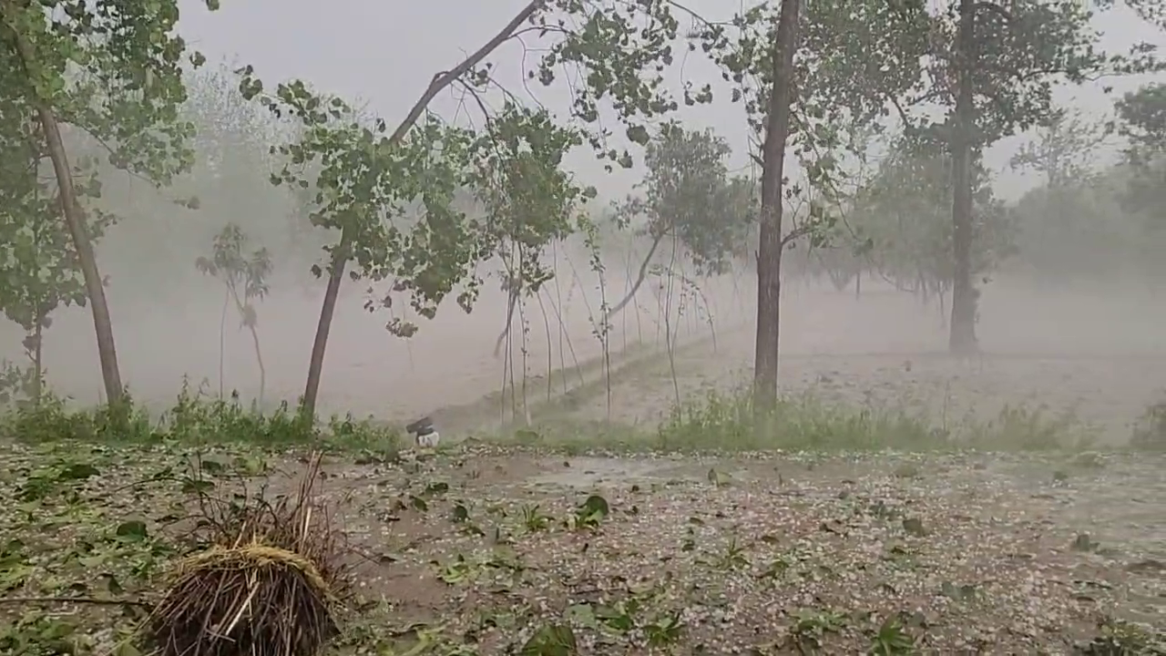 UP Today's Temperature, Weather Forecast, UP Weather High Alert