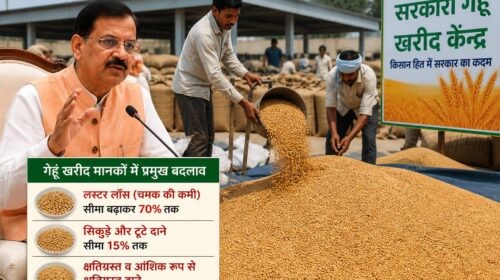 Farmers in Haryana will get relief from the impact of weather, Agriculture Minister gives relaxation in the quality of wheat
