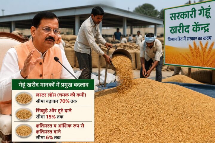 Farmers in Haryana will get relief from the impact of weather, Agriculture Minister gives relaxation in the quality of wheat