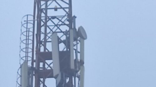 शादी की जिद में मोबाइल टावर पर चढ़ा युवक, घंटों चला हाईवोल्टेज ड्रामा
