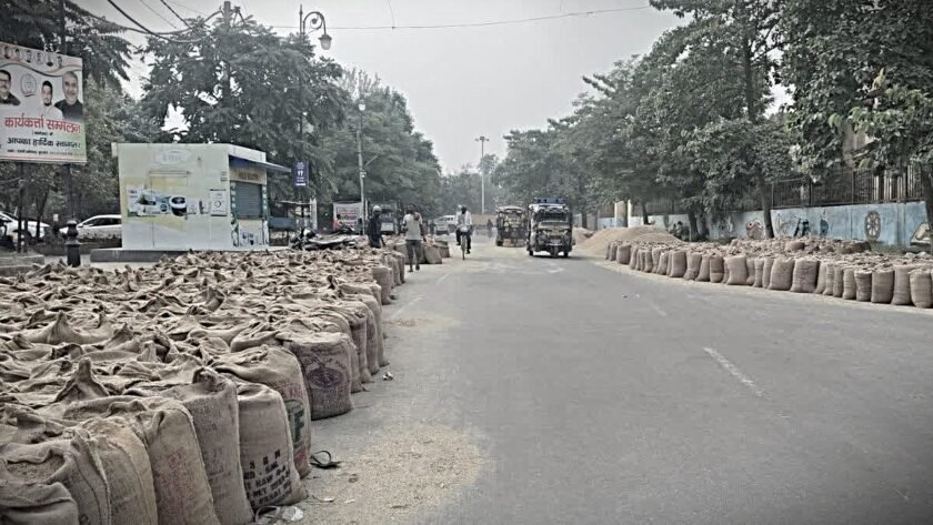 हरियाणा में 15.52 लाख मीट्रिक टन धान की खरीद, किसानों को 1,221 करोड़ रुपये का भुगतान