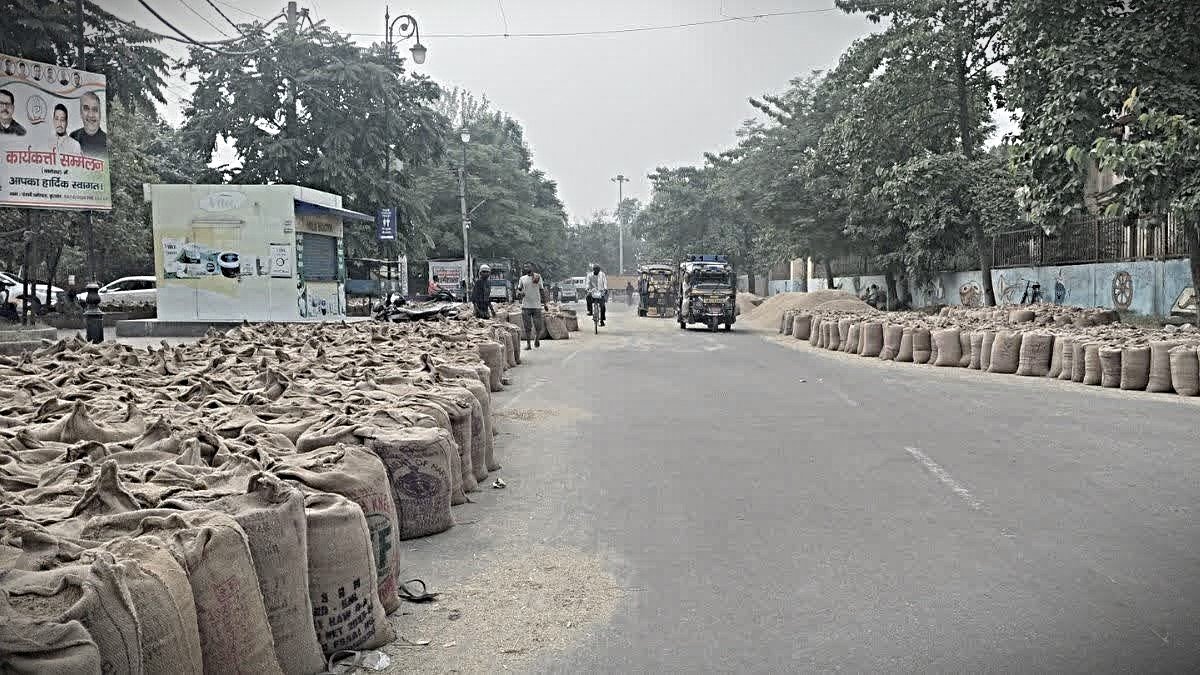हरियाणा में 15.52 लाख मीट्रिक टन धान की खरीद, किसानों को 1,221 करोड़ रुपये का भुगतान