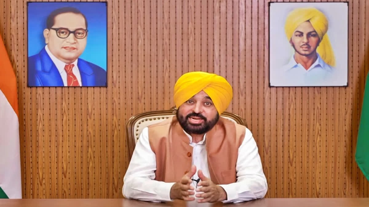 Bhagwant Mann Delhi Airport controversy